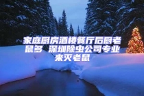 家庭廚房酒樓餐廳后廚老鼠多 深圳除蟲公司專業(yè)來滅老鼠