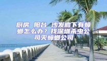廚房 陽臺 沙發底下有蟑螂怎么辦？找深圳殺蟲公司滅蟑螂公司