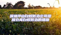 深圳坪山白蟻防治公司提醒倉(cāng)庫(kù)白蟻防治的措施