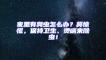 家里有臭蟲怎么辦？莫驚慌，保持衛生、燙曬來除蟲！