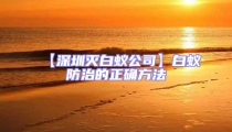 【深圳滅白蟻公司】白蟻防治的正確方法