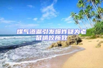 煤氣滲漏引發(fā)爆炸疑為老鼠啃咬所致