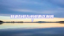 知道白蟻與螞蟻的區(qū)別嗎？