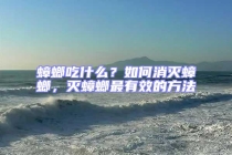 蟑螂吃什么？如何消滅蟑螂，滅蟑螂最有效的方法