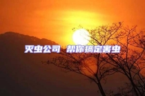 滅蟲(chóng)公司 幫你搞定害蟲(chóng)