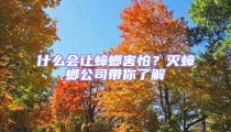 什么會讓蟑螂害怕？滅蟑螂公司帶你了解