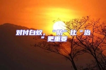 對(duì)付白蟻，“防”比“治”更重要