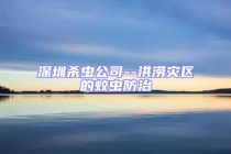 深圳殺蟲(chóng)公司--洪澇災(zāi)區(qū)的蚊蟲(chóng)防治