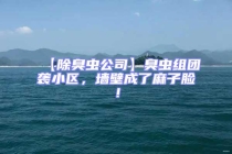 【除臭蟲公司】臭蟲組團(tuán)襲小區(qū)，墻壁成了麻子臉！