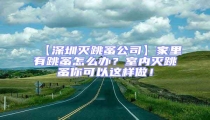 【深圳滅跳蚤公司】家里有跳蚤怎么辦？室內滅跳蚤你可以這樣做！