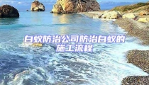 白蟻防治公司防治白蟻的施工流程