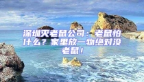 深圳滅老鼠公司：老鼠怕什么？家里放一物絕對沒老鼠！