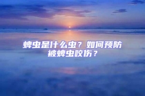 蜱蟲是什么蟲？如何預(yù)防被蜱蟲咬傷？