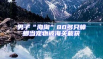 男子“海淘”80多只蟑螂當寵物被海關截獲