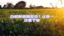 白蟻種類(lèi)知多少？讓你一次看個(gè)夠