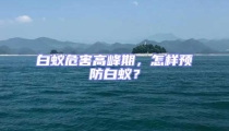 白蟻危害高峰期，怎樣預防白蟻？