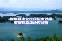 深圳殺蟲公司介紹室外的廁所和畜糞池滅蟑螂