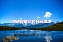 找來蟑螂幫忙分解垃圾