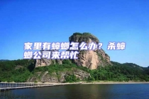 家里有蟑螂怎么辦？殺蟑螂公司來幫忙