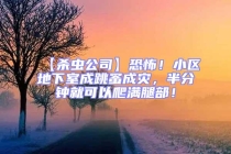 【殺蟲公司】恐怖！小區地下室成跳蚤成災，半分鐘就可以爬滿腿部！