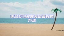 滅鼠公司教你滅鼠最好的方法