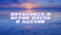 深圳專業滅蟑螂公司 深圳區滅蟑螂 荔灣區滅蟑螂 白云區滅蟑螂
