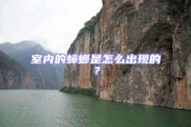 室內的蟑螂是怎么出現(xiàn)的？