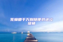 死蟑螂千萬別隨便扔進垃圾桶