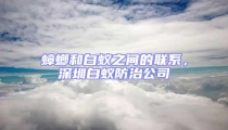 蟑螂和白蟻之間的聯系，深圳白蟻防治公司