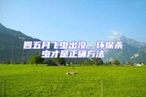 四五月飛蟲(chóng)出沒(méi)，環(huán)保殺蟲(chóng)才是正確方法