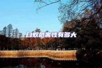 白蟻危害性有多大