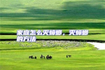 家庭怎么滅蟑螂，滅蟑螂的方法