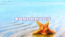 家庭除白蟻防治方法