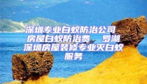 深圳專業(yè)白蟻防治公司 房屋白蟻防治費  羅湖深圳房屋裝修專業(yè)滅白蟻服務