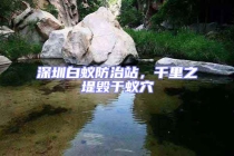 深圳白蟻防治站，千里之堤毀于蟻穴