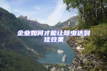 企業如何才能讓除蟲達到佳效果