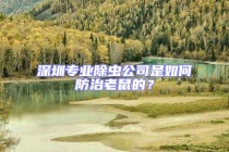 深圳專業除蟲公司是如何防治老鼠的？