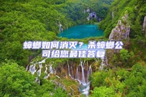 蟑螂如何消滅？殺蟑螂公司給您最佳答復