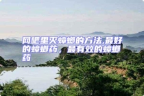 網吧里滅蟑螂的方法,最好的蟑螂藥，最有效的蟑螂藥