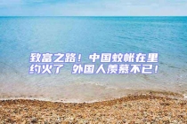 致富之路！中國(guó)蚊帳在里約火了 外國(guó)人羨慕不已！