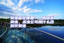 臭蟲藏在哪里？--如何殺臭蟲，殺蟲公司用什么藥劑滅臭蟲