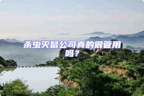 殺蟲滅鼠公司真的很管用嗎？