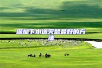 深圳下水道滅鼠最好的方法