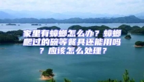 家里有蟑螂怎么辦？蟑螂爬過的碗等餐具還能用嗎？應該怎么處理？