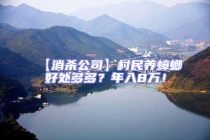 【消殺公司】村民養(yǎng)蟑螂好處多多？年入8萬(wàn)！