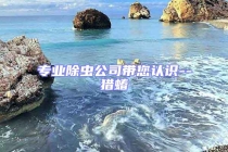 專業(yè)除蟲(chóng)公司帶您認(rèn)識(shí)--獵蝽