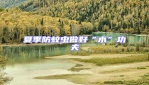 夏季防蚊蟲做好“水”功夫