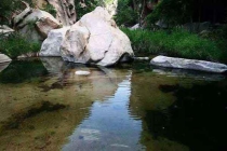 深圳消殺哪里有殺白蟻，居民如何預(yù)防白蟻