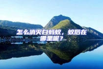 怎么消滅白螞蟻，蟻后在哪里呢？