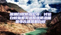 深圳白蟻防治公司：討論白蟻族群滅治系統防治保國寺古建筑群白蟻